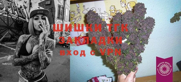 тгк Аркадак