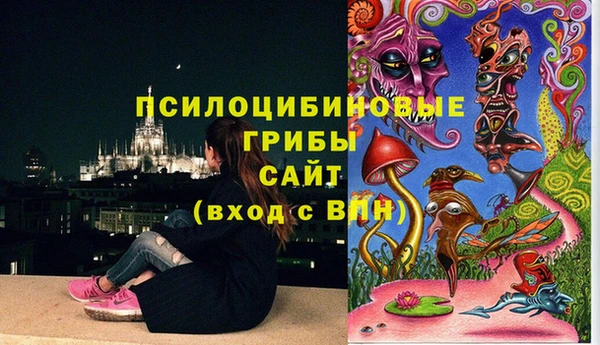 тгк Аркадак
