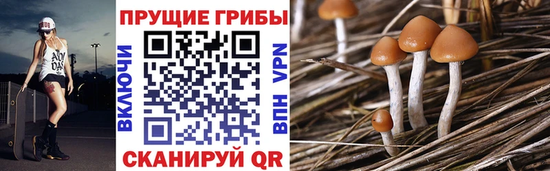 Псилоцибиновые грибы Magic Shrooms  kraken как войти  Узловая  купить наркотик 